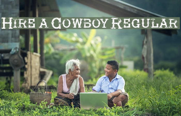 Hire a Cowboy Regular Example 2