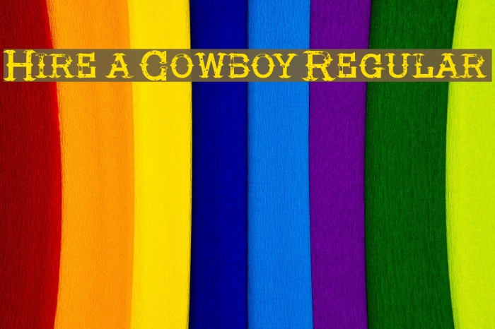 Hire a Cowboy Regular Example 3