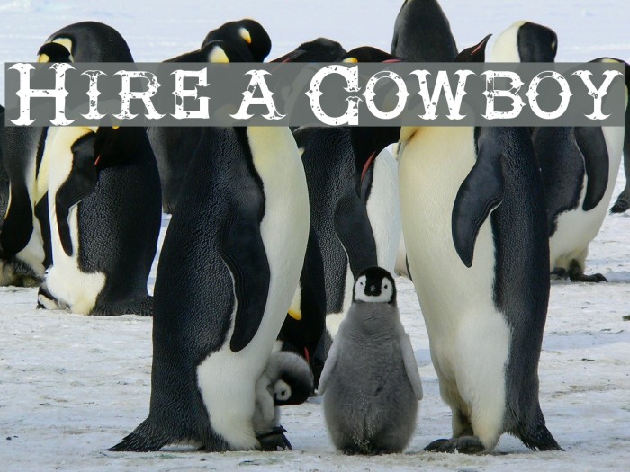 Hire a Cowboy Font examples