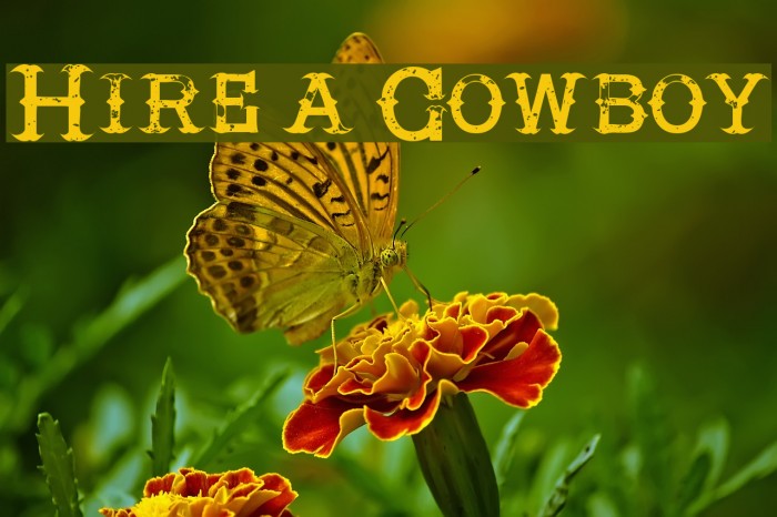 Hire a Cowboy Font examples