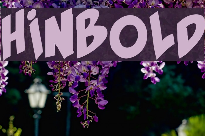 HirnBold Font examples