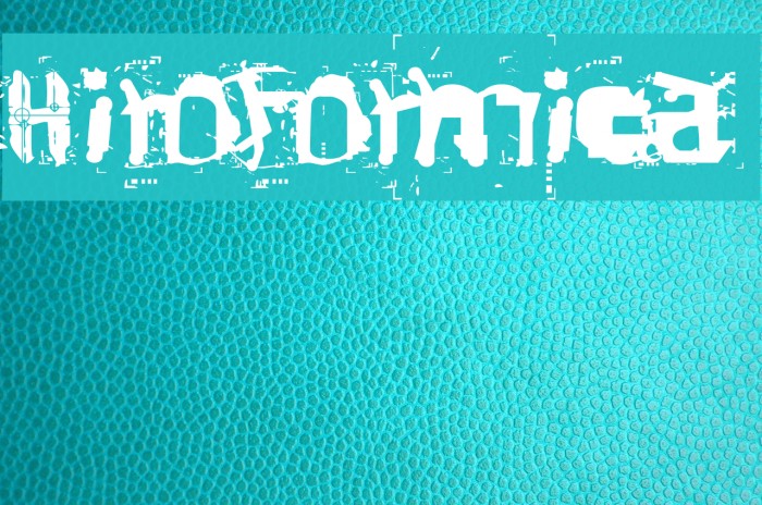 Hiroformica Font examples