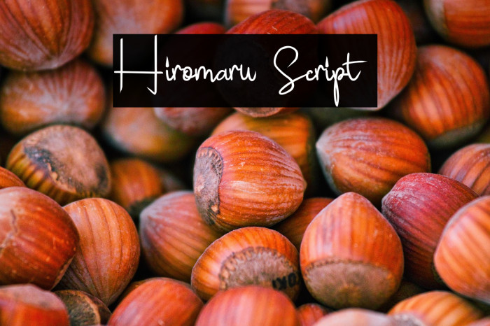 Hiromaru Script  Example 1