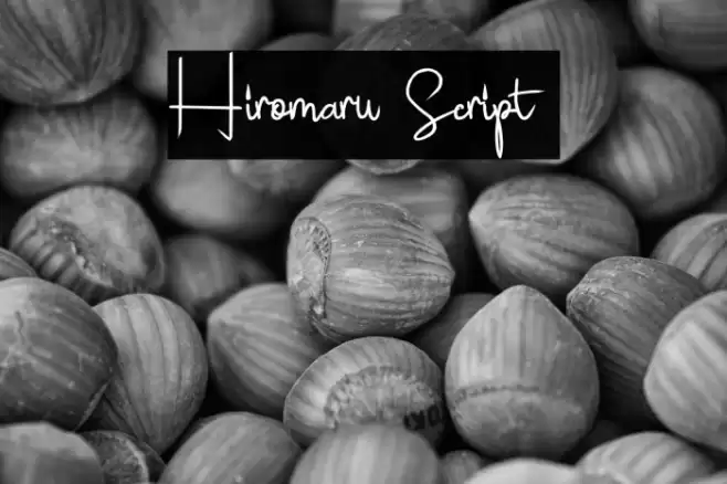Hiromaru Script  Font examples