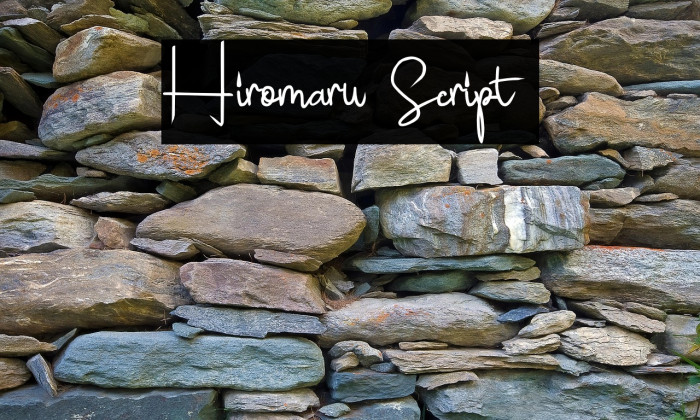 Hiromaru Script  Example 2