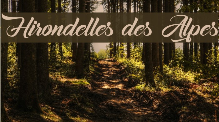 Hirondelles des Alpes Font examples