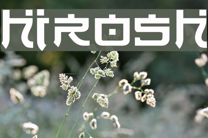Hirosh Font examples