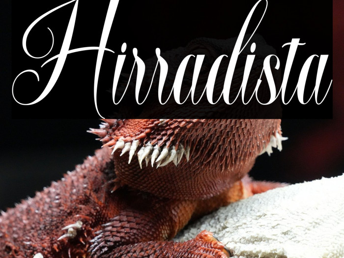 Hirradista Example 1