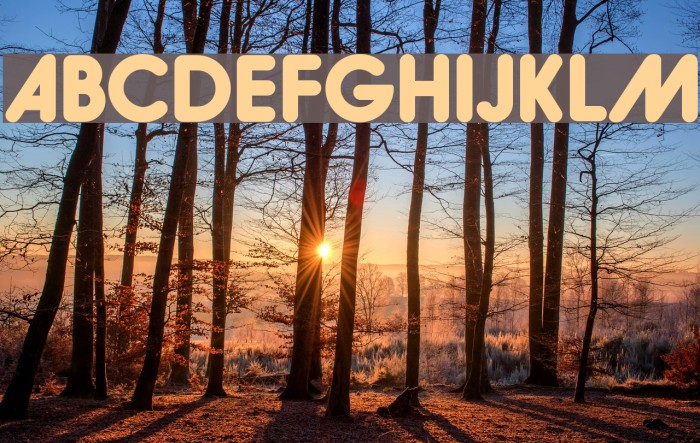 Hiruko-BlackAlternate Font examples