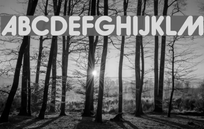 Hiruko-BlackAlternate Font examples