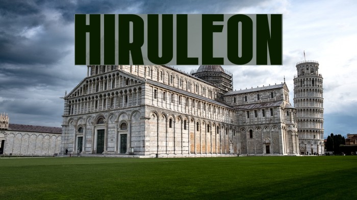 Hiruleon Example 1