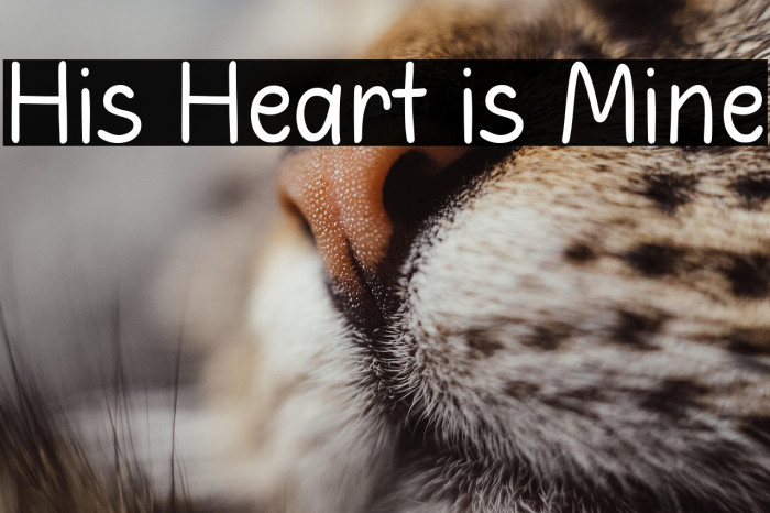 His Heart is Mine Example 1