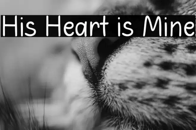 His Heart is Mine 字体 examples
