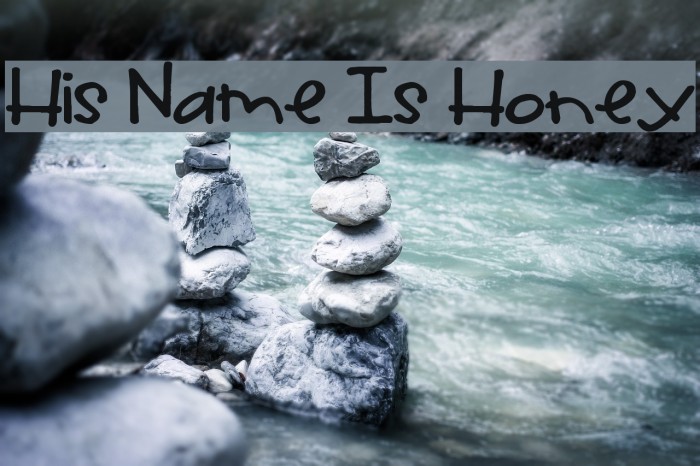 His Name Is Honey Font examples