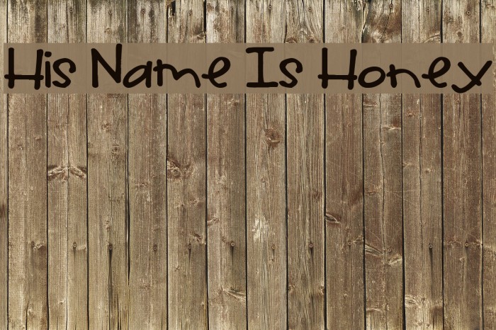 His Name Is Honey Font examples