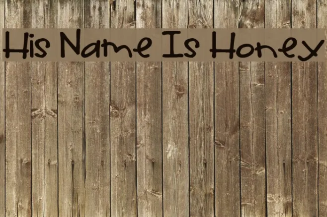 His Name Is Honey Example 3