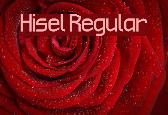 Hisel Regular Font examples