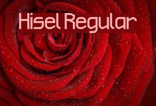 Hisel Regular Example 1