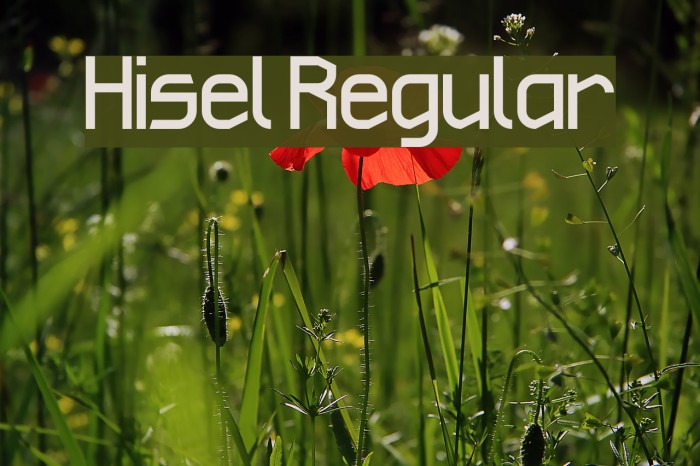 Hisel Regular Font examples