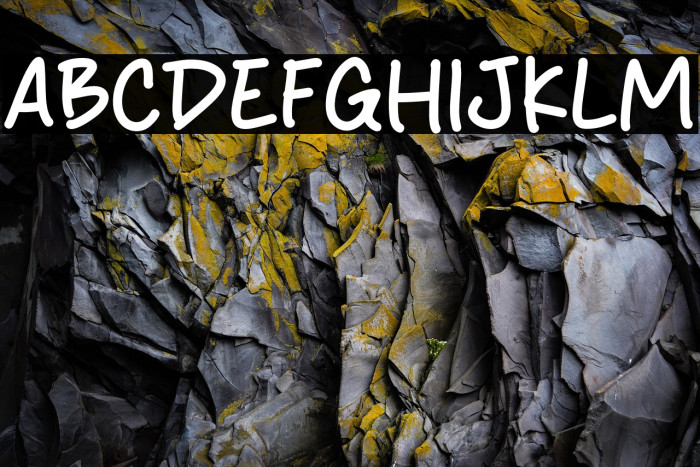 Hislife Polices examples