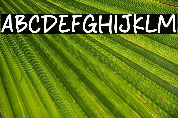 Hislife Polices examples