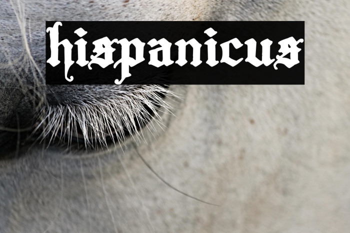 Hispanicus Example 3