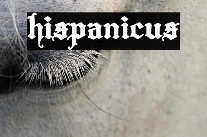 Hispanicus Example 3