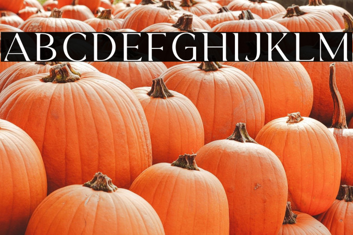 HisquinsDEMO Example 3