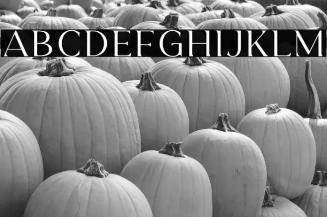 HisquinsDEMO Font examples