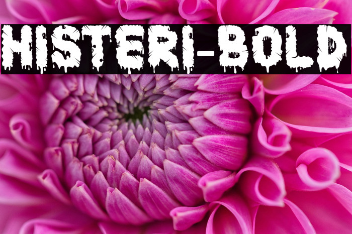 Histeri-Bold Example 3