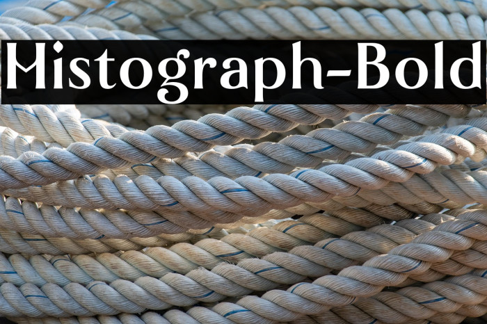 Histograph-Bold Example 3