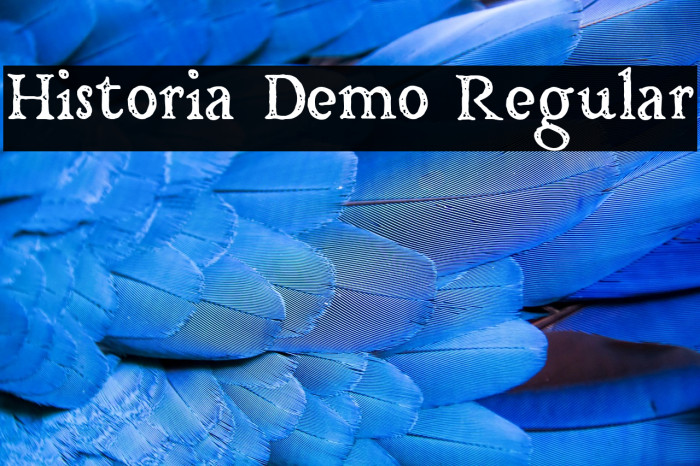 Historia Demo Regular Example 1