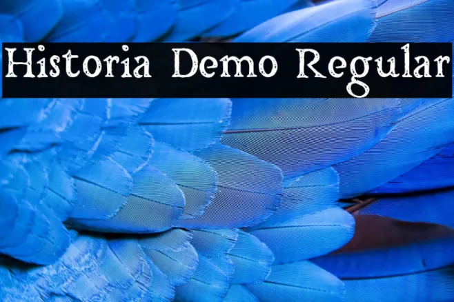 Historia Demo Regular Example 1