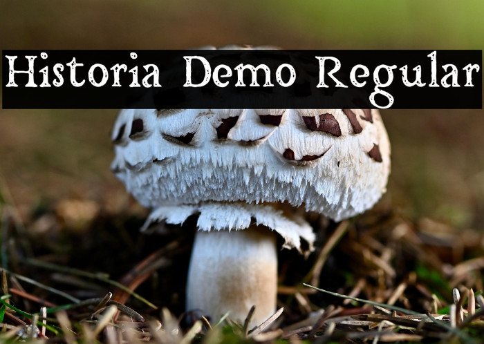 Historia Demo Regular Example 3