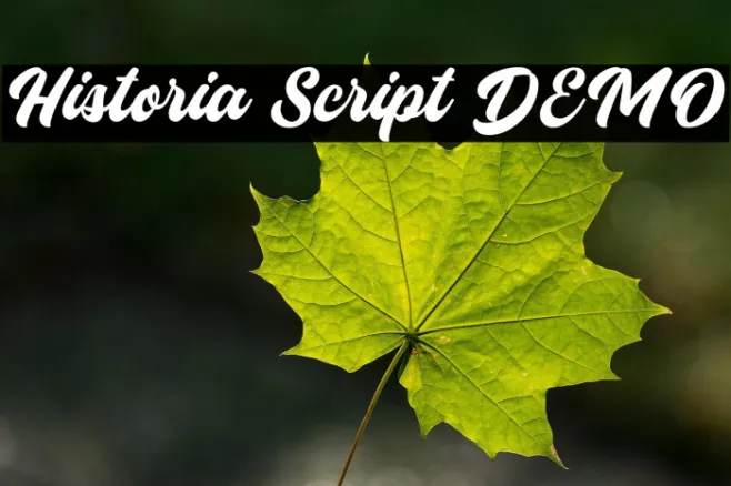 Historia Script DEMO Example 2