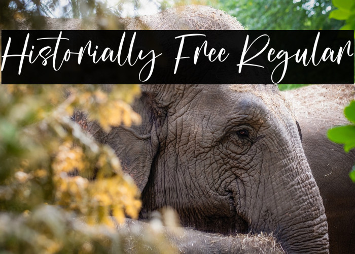 Historially Free Regular Example 1