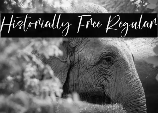 Historially Free Regular Schriftart examples