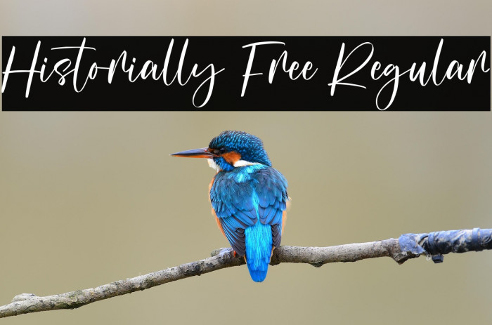 Historially Free Regular Example 2