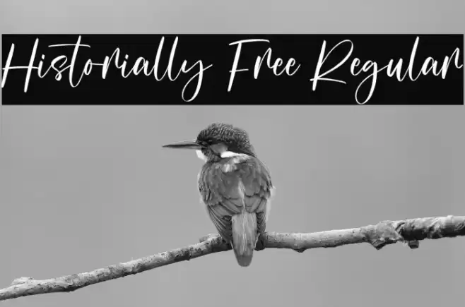 Historially Free Regular Schriftart examples