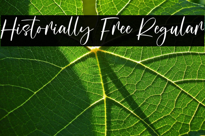 Historially Free Regular Example 3