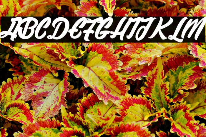 Historic Seattle_PersonalUseOnly Example 2