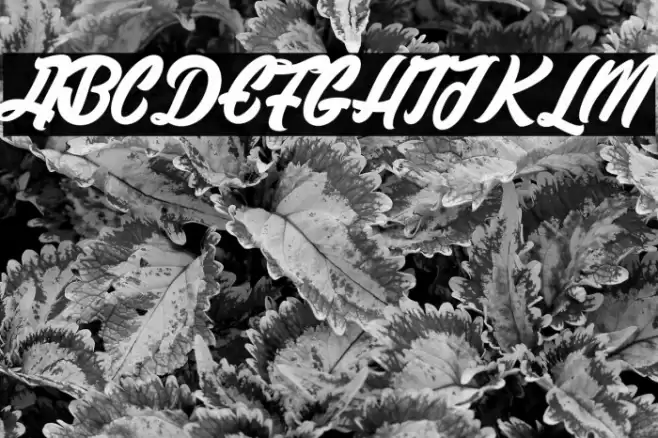 Historic Seattle_PersonalUseOnly Schriftart examples