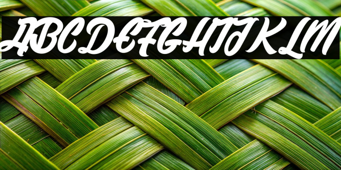 Historic Seattle_PersonalUseOnly Example 3