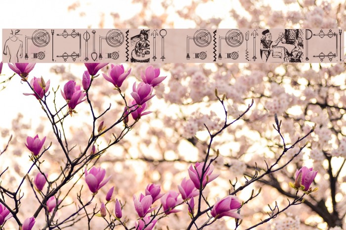 HistoricMedicineBats Example 2