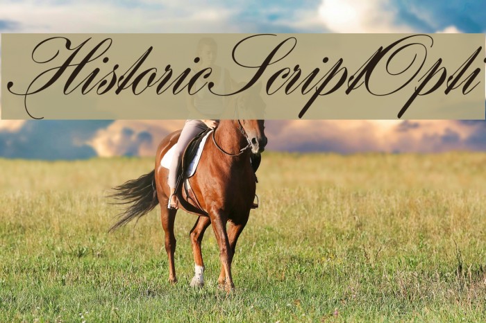 HistoricScriptOpti Font examples