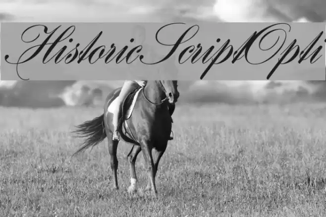 HistoricScriptOpti  examples