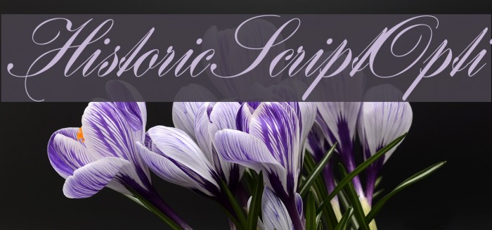 HistoricScriptOpti Font examples