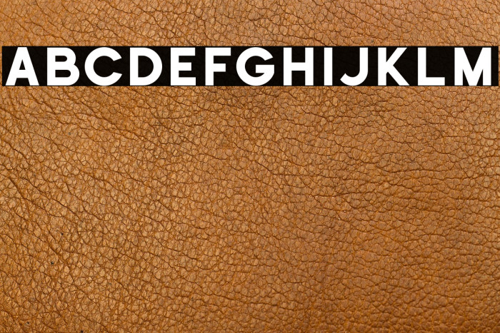 Historical-Sans Example 1