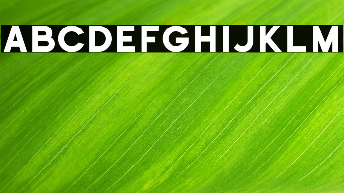 Historical-Sans Example 3