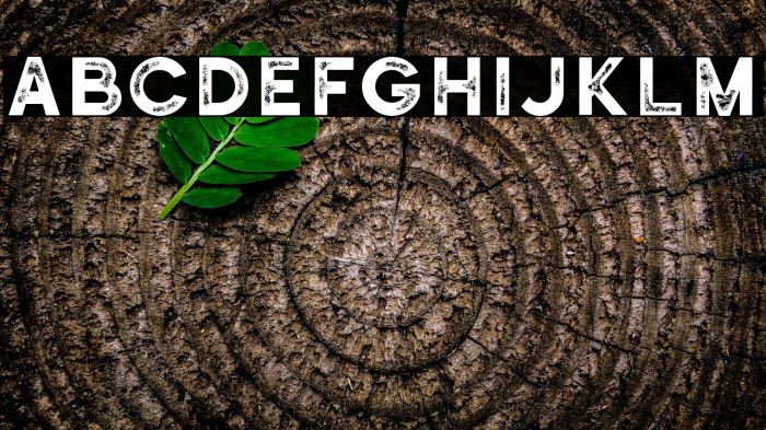 Historical-SansTextured Example 1